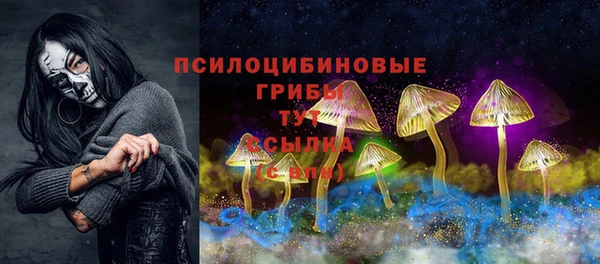 МДПВ Армянск