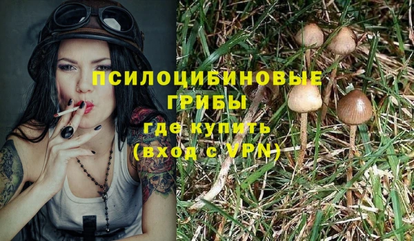 СК Арсеньев