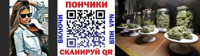 hydra вход  закладки  Новокубанск  Каннабис Bruce Banner 